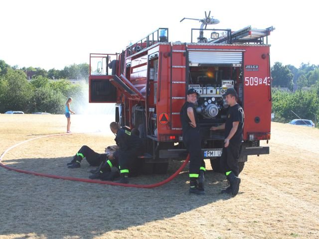 festyn  (146)
